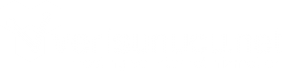 Verisunucu.net Blog