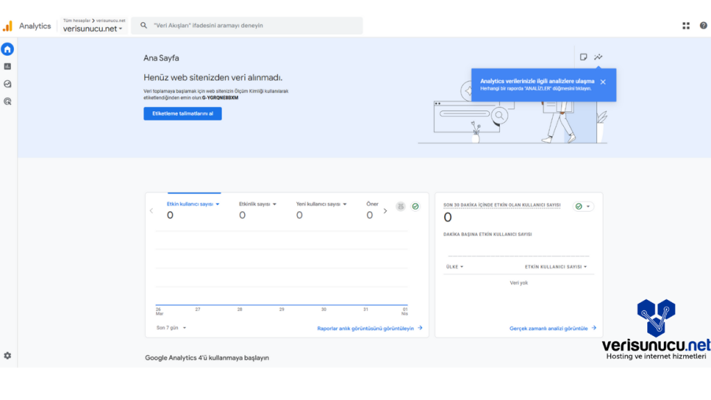 Google Analytics Anasayfa