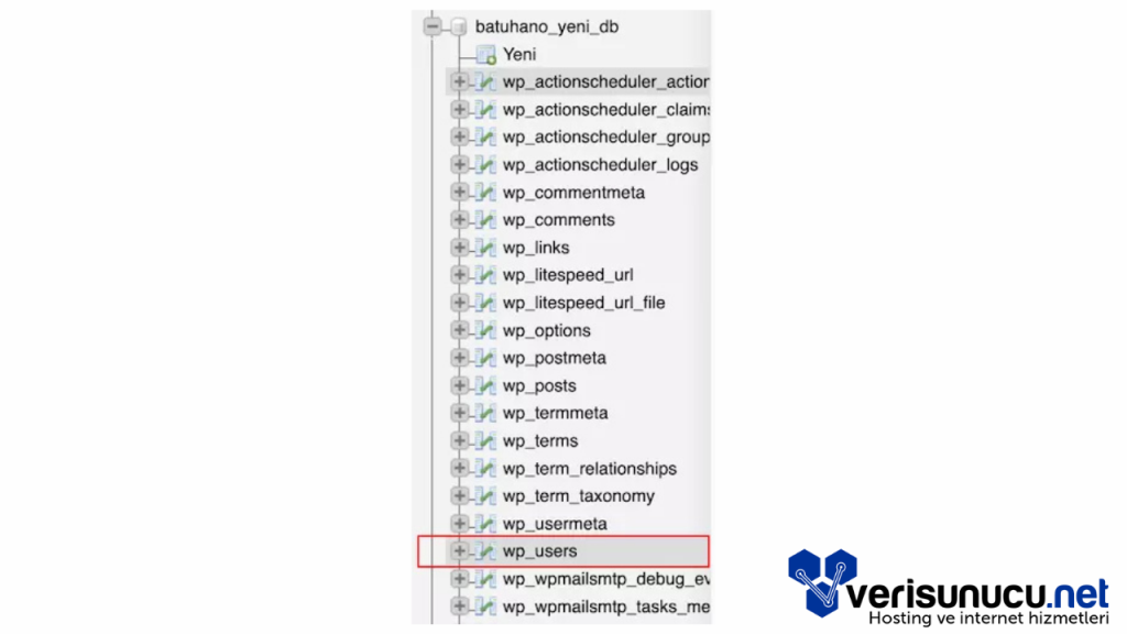 Wordpress Admin Şifre Sıfırlama