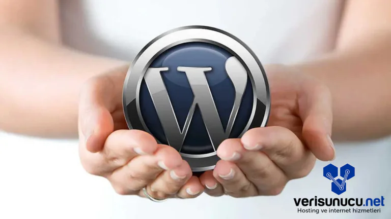 WordPress'te Tema & Eklentileri Türkçeleştirme (2025)