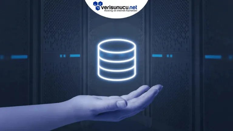 Bulut Hosting, Paylaşımlı Hosting ve WordPress Hosting Nedir? Farkları Nelerdir?