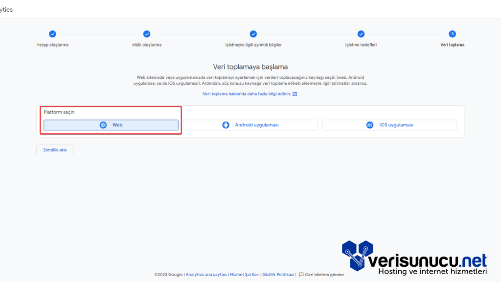 Google Analytics Veri