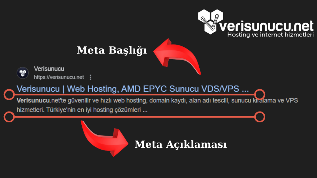 Meta Örneği