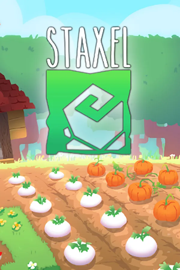 Staxel sunucu kiralama