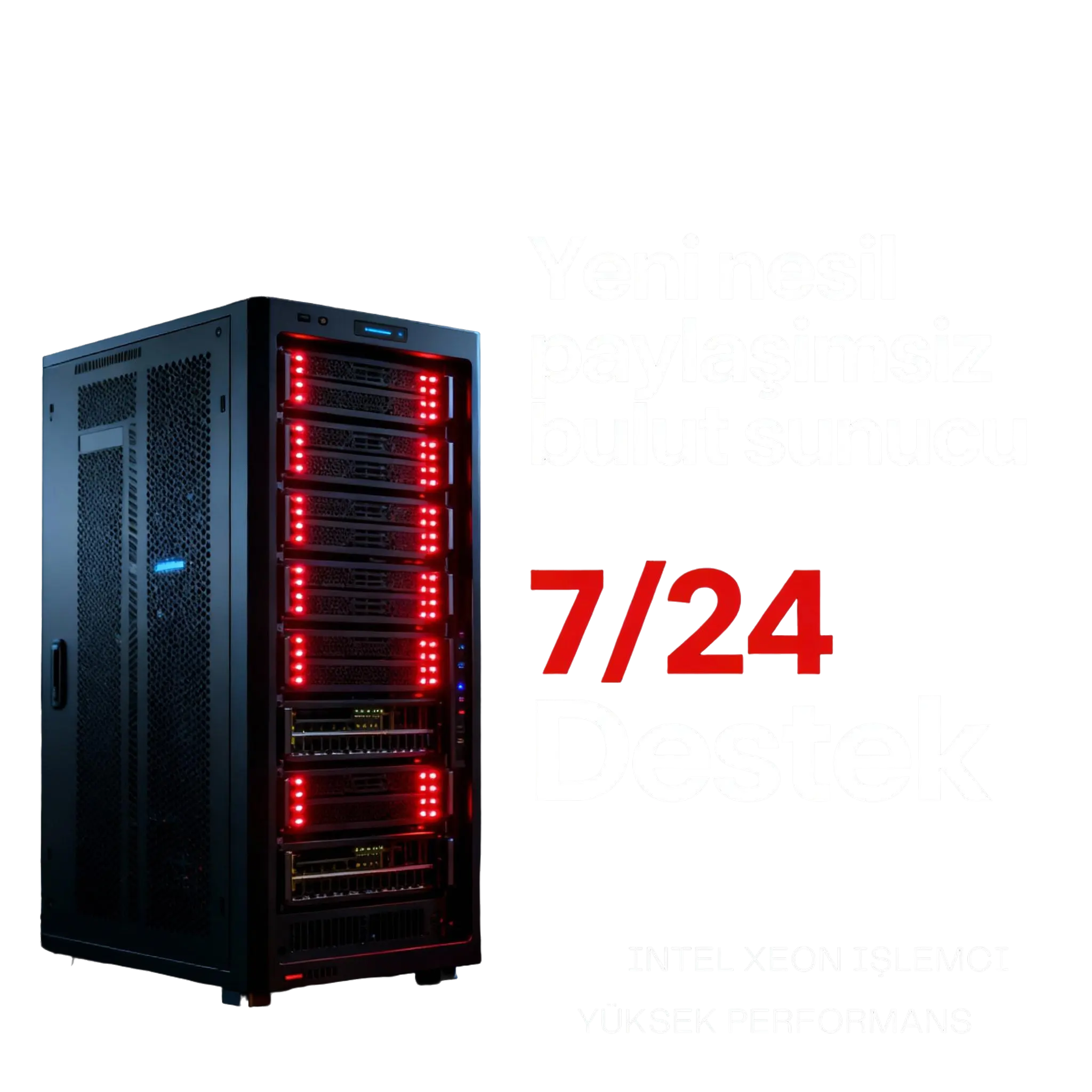 Ekonomik Xeon VDS Sunucu