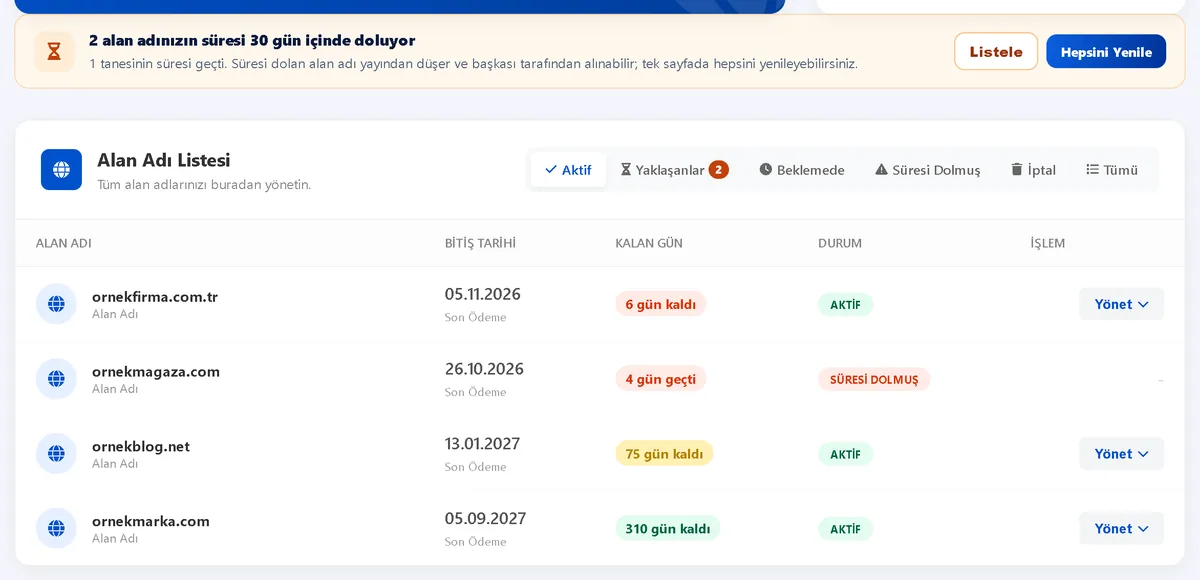 Alan adları: bitişi yaklaşanlar – Müşteri Paneli ekran görüntüsü