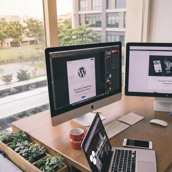WordPress icin optimize edilmis hosting calisma ortami